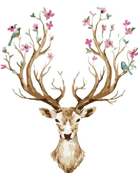 Deer Diy Paint By Numbers Kits UK AN0625