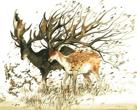 Deer Diy Paint By Numbers Kits UK AN0630