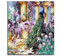 Peacock Diy Paint By Numbers Kits UK AN0670