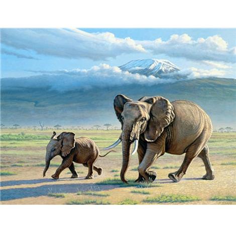 Elephant Diy Paint By Numbers Kits UK AN0207