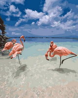 Flamingo Diy Paint By Numbers Kits UK AN0172
