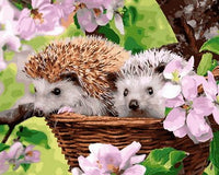 Hedgehog Diy Paint By Numbers Kits UK AN0877
