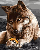 Animal Wolf Diy Paint By Numbers Kits UK AN0555