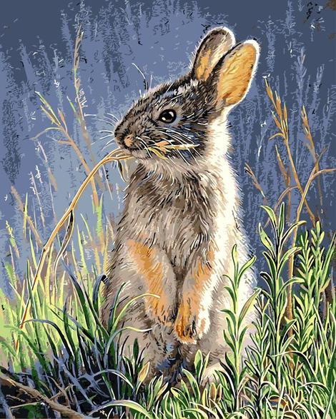 Rabbit Diy Paint By Numbers Kits UK FA0145