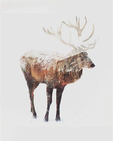 Animal Deer Diy Paint By Numbers Kits UK AN0626