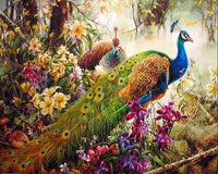 Animal Peacocks In The Forest Diy Paint By Numbers Kits UK AN0663