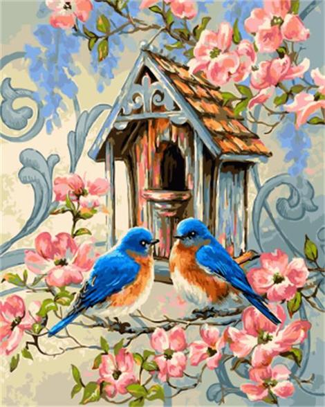 Bird Diy Paint By Numbers Kits UK FA0088