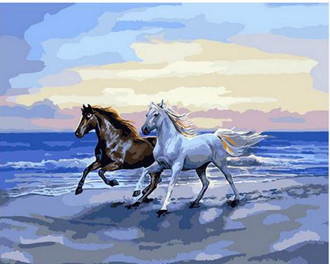 Horse Diy Paint By Numbers Kits UK AN0269