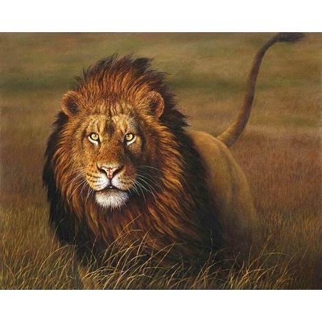 Lion Diy Paint By Numbers Kits UK AN0458