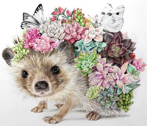 Hedgehog Diy Paint By Numbers Kits UK AN0876