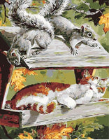 Squirrel Diy Paint by Numbers Kits UK AN0906