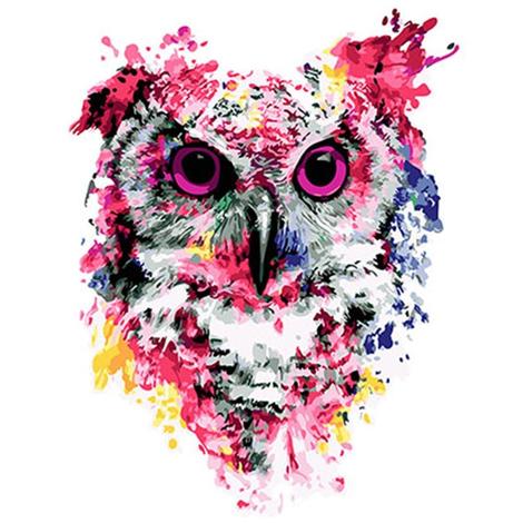 Colorful Owl Diy Paint By Numbers Kits UK FA0024