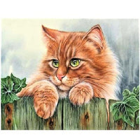 Pet Cat Diy Paint By Numbers Kits UK PE0197
