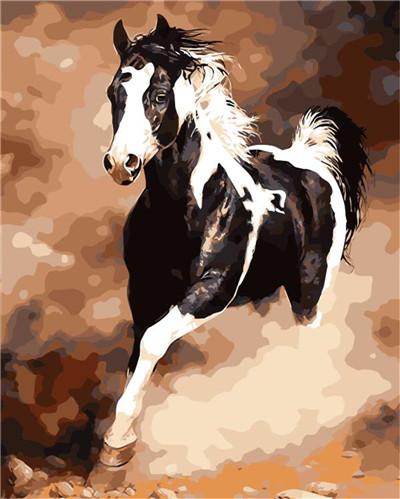 Horse Diy Paint By Numbers Kits UK AN0254