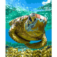 Turtle Diy Paint By Numbers Kits MA227