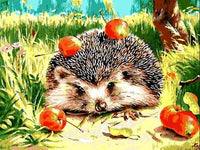 Hedgehog Diy Paint By Numbers Kits UK AN0884